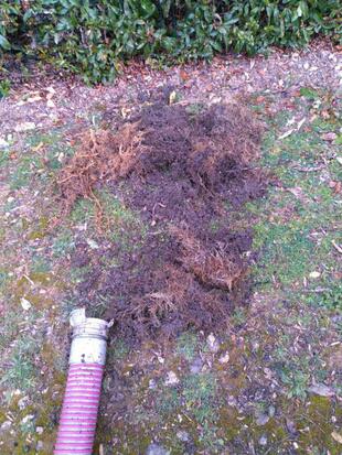 débouchage eaux pluviales